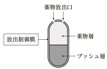 109回薬剤師国家試験問55　浸透圧ポンプ型製剤の放出制御膜